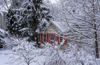 Kevin’s Winter Garden that Supports Wildlife