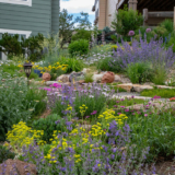 Ryan’s Xeric Garden in Colorado