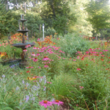 Linda’s Flower Gardens in Illinois