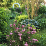 Damien and Debbie’s English Garden in Maryland