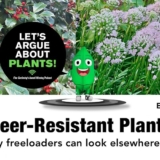 Episode 190: Deer-Resistant Plants – Fine Gardening